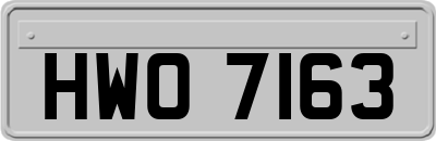 HWO7163