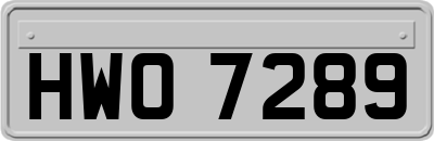 HWO7289