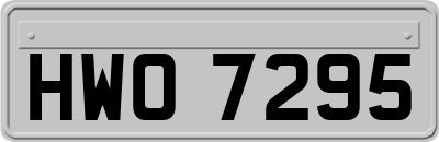 HWO7295
