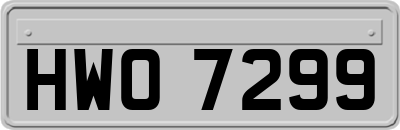 HWO7299