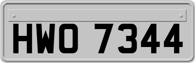 HWO7344