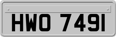 HWO7491