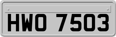 HWO7503