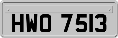 HWO7513