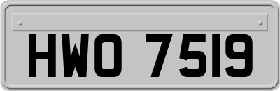 HWO7519