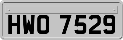 HWO7529