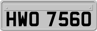 HWO7560