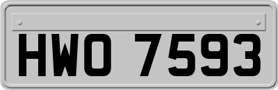 HWO7593