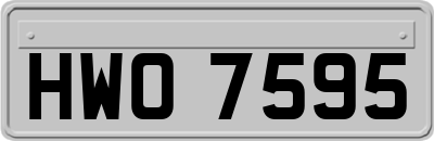 HWO7595