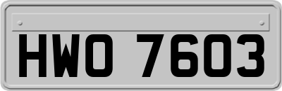 HWO7603