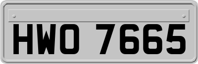 HWO7665