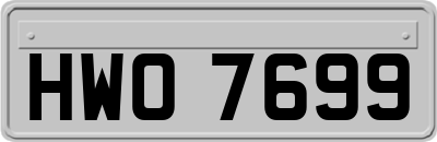 HWO7699