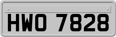 HWO7828