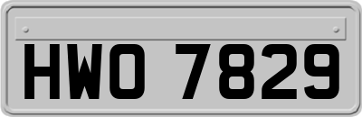 HWO7829