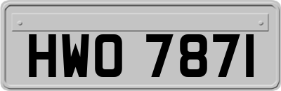 HWO7871