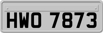 HWO7873
