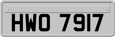 HWO7917