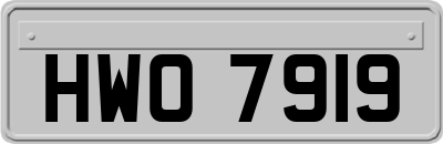 HWO7919