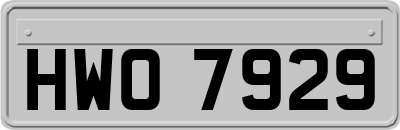 HWO7929