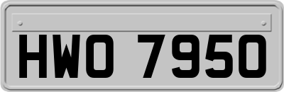 HWO7950
