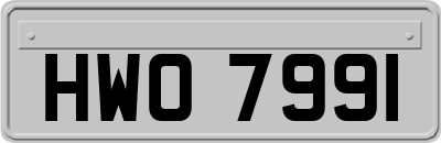 HWO7991