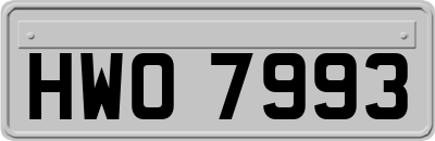 HWO7993