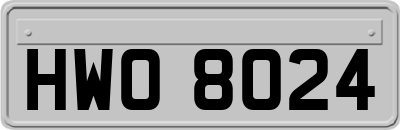 HWO8024