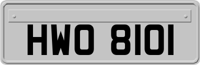 HWO8101