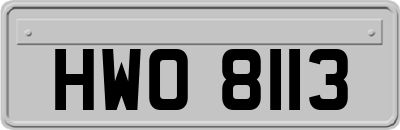 HWO8113