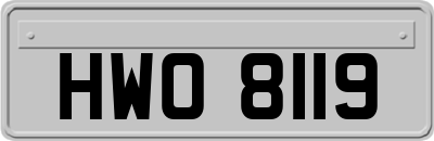 HWO8119