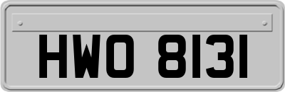 HWO8131