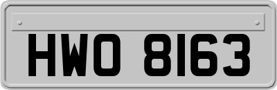 HWO8163