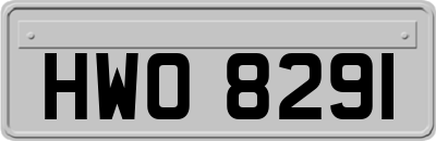 HWO8291