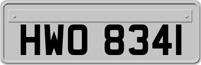 HWO8341