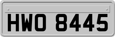 HWO8445