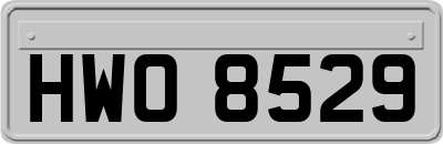 HWO8529