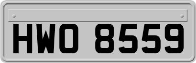 HWO8559