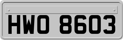HWO8603