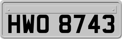 HWO8743