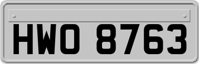 HWO8763