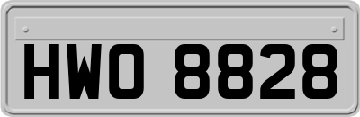 HWO8828
