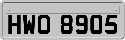 HWO8905