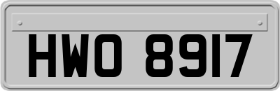 HWO8917