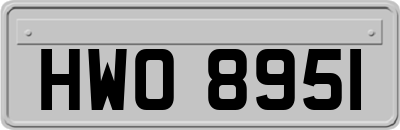 HWO8951