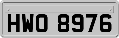 HWO8976