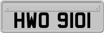 HWO9101