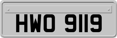 HWO9119