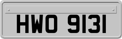 HWO9131