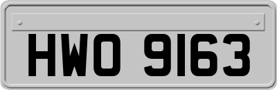 HWO9163