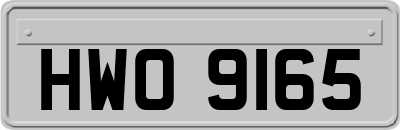 HWO9165